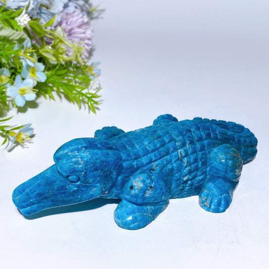 16cm Blue Apatite Crocodile Carving Crystal Healing Bulk Wholesale