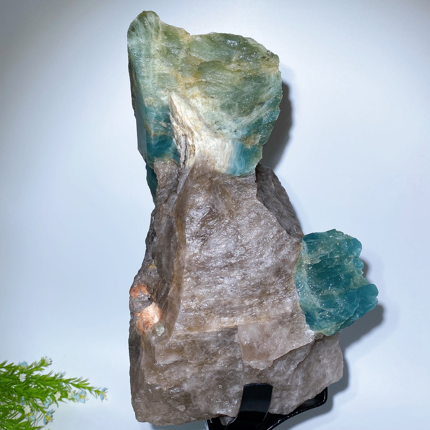 Large Unique Aquamarine in Quartz Specimen with Stand Crystal Healing