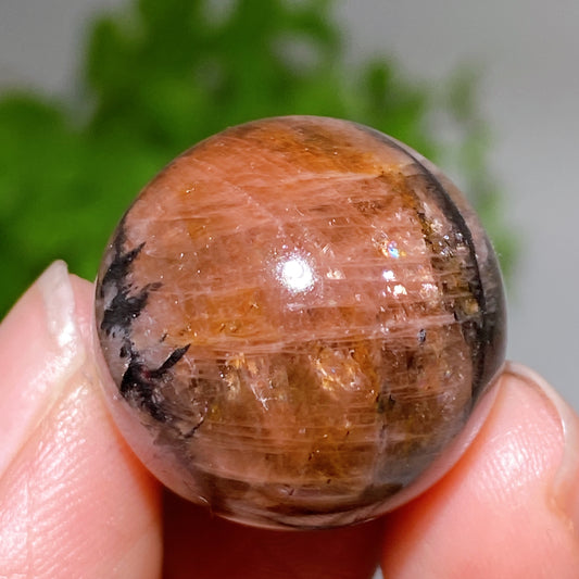 22mm Chiastolite Sphere Crystal Healing Bulk Wholesale