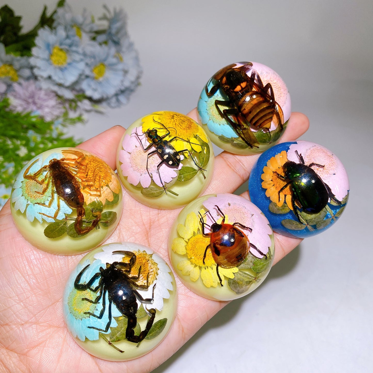45mm Luminous Resin with Insect Free Form Crystal Healing Bulk Wholesale