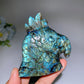 3.3" Labradorite Parrot Head Carving Crystal Healing Bulk Wholesale