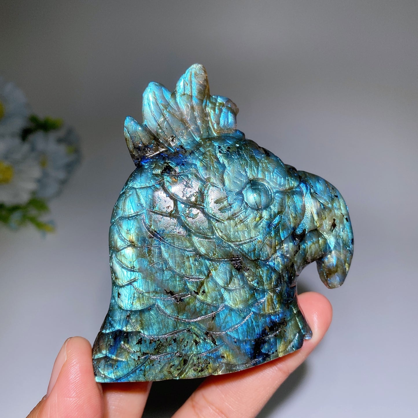 3.3" Labradorite Parrot Head Carving Crystal Healing Bulk Wholesale