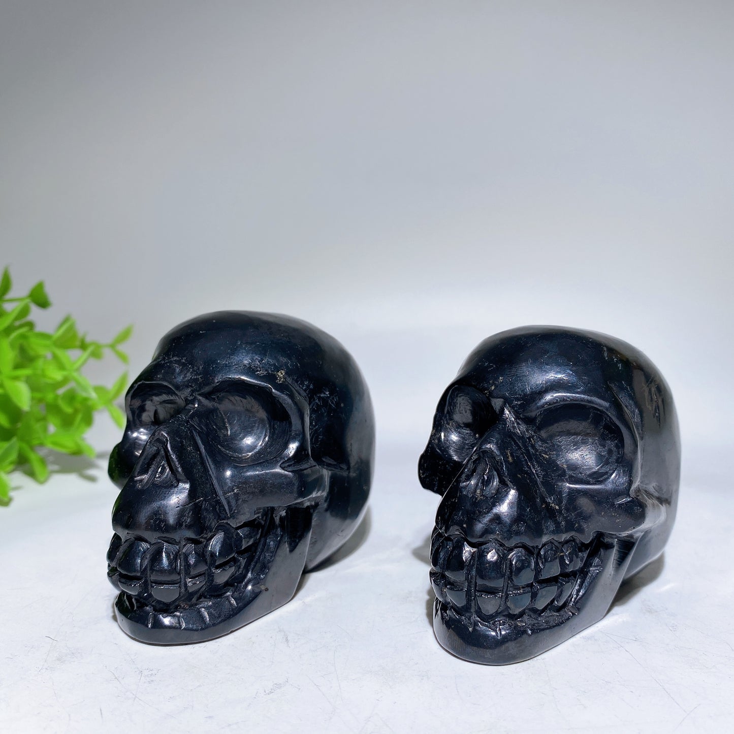 3.3" Schungite Skull Carving Crystal Healing Bulk Wholesale