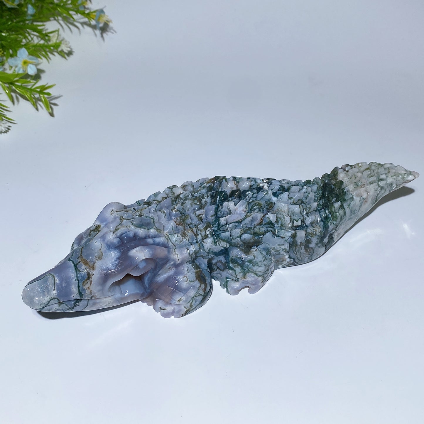 22cm Unique Moss Agate Crocodile Carving Crystal Healing Bulk Wholesale