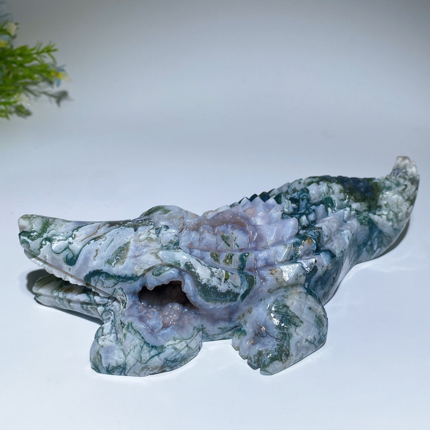 22cm Unique Moss Agate Crocodile Carving Crystal Healing Bulk Wholesale
