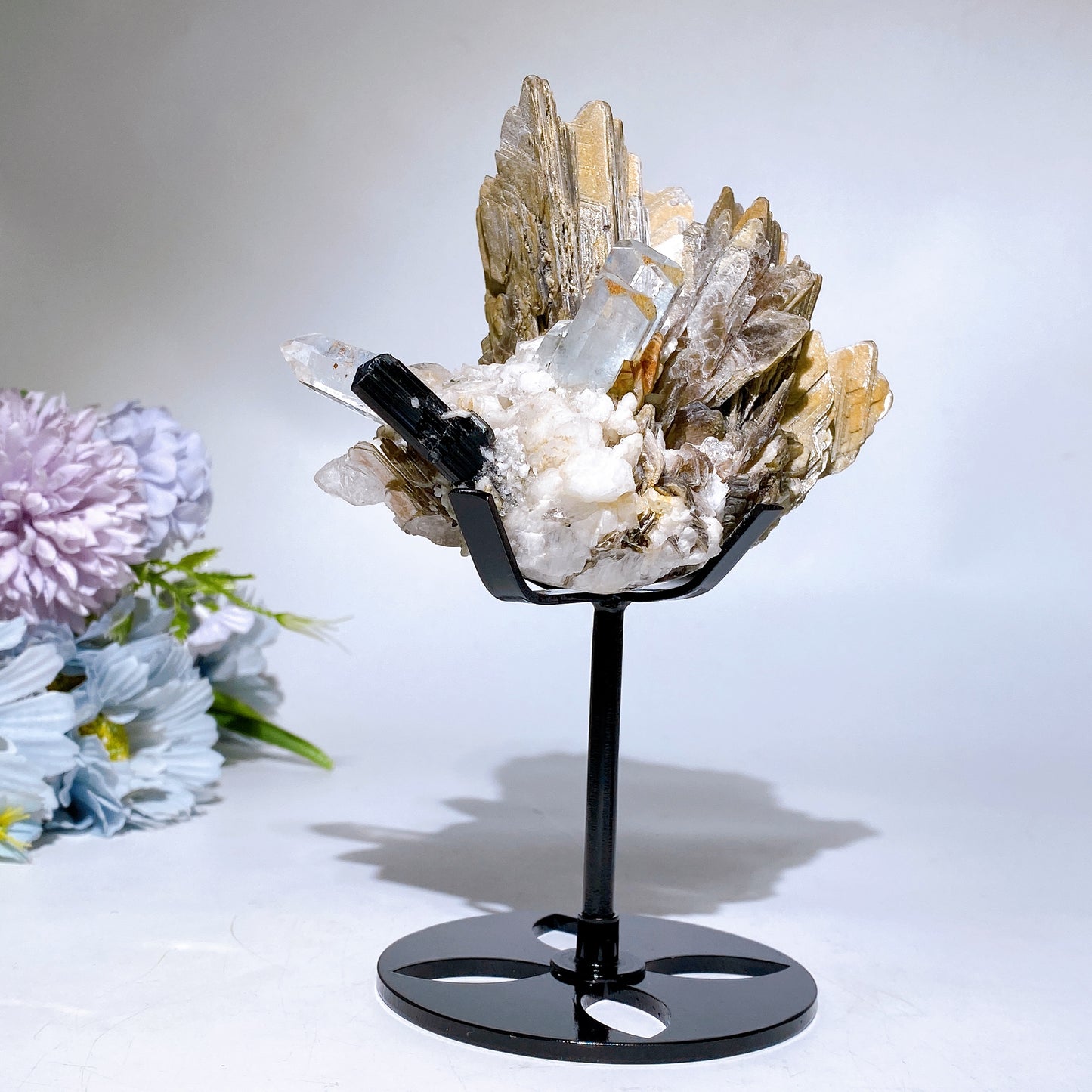 Unique Golden Mica Grow with Aquamarine Black Tourmaline & Quartz Specimen with Stand Crystal Healing Bulk Wholesale