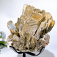 Unique Golden Mica Grow with Aquamarine Black Tourmaline & Quartz Specimen with Stand Crystal Healing Bulk Wholesale