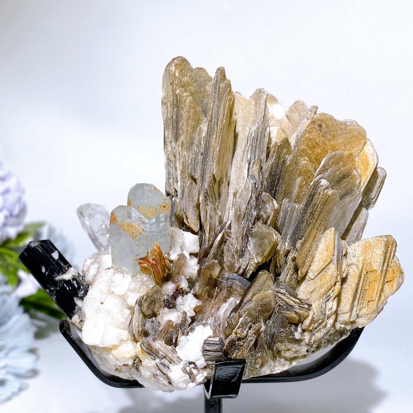 Unique Golden Mica Grow with Aquamarine Black Tourmaline & Quartz Specimen with Stand Crystal Healing Bulk Wholesale