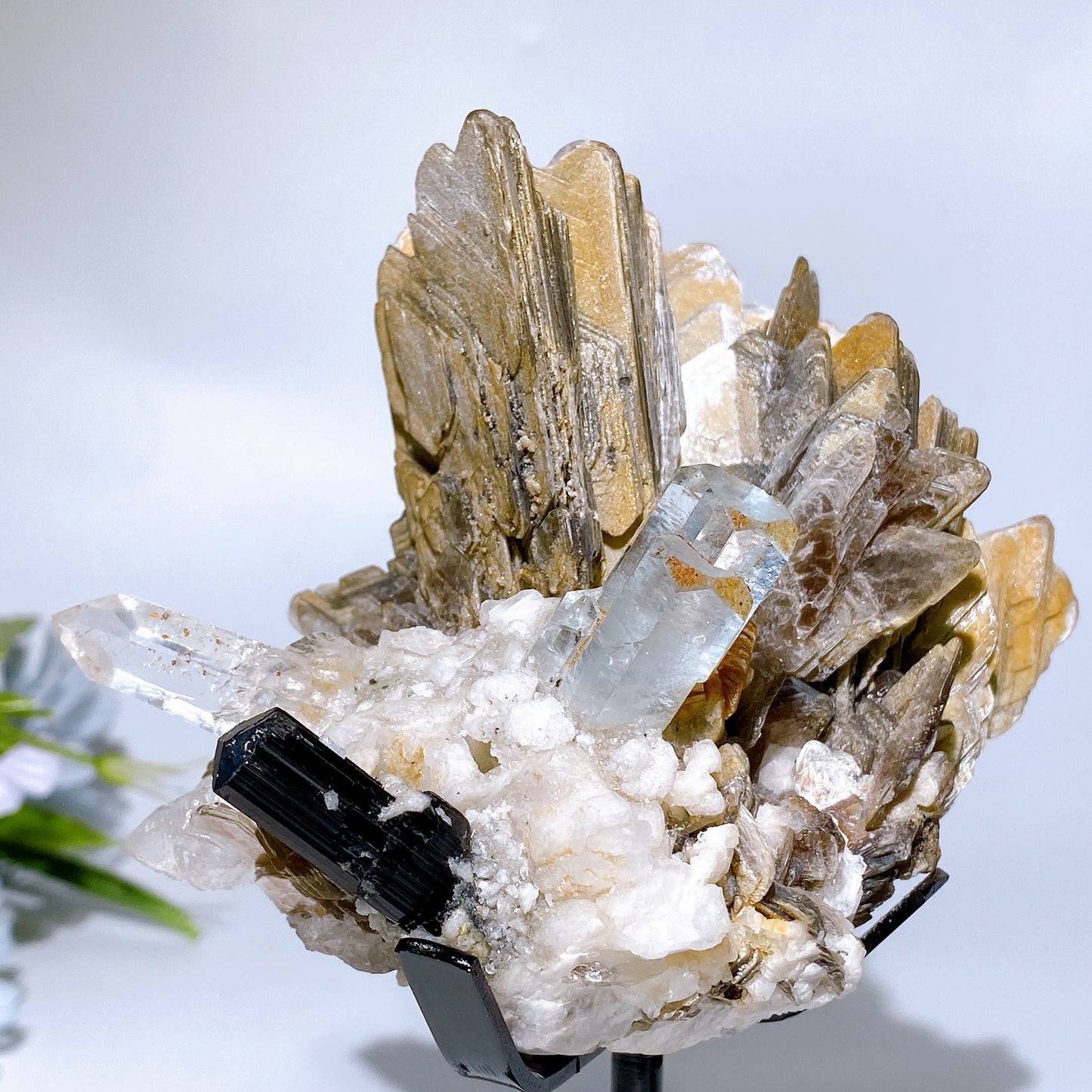 Unique Golden Mica Grow with Aquamarine Black Tourmaline & Quartz Specimen with Stand Crystal Healing Bulk Wholesale