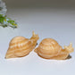 3.0" Crystal Snail Carving Crystal Healing Bulk Wholesale