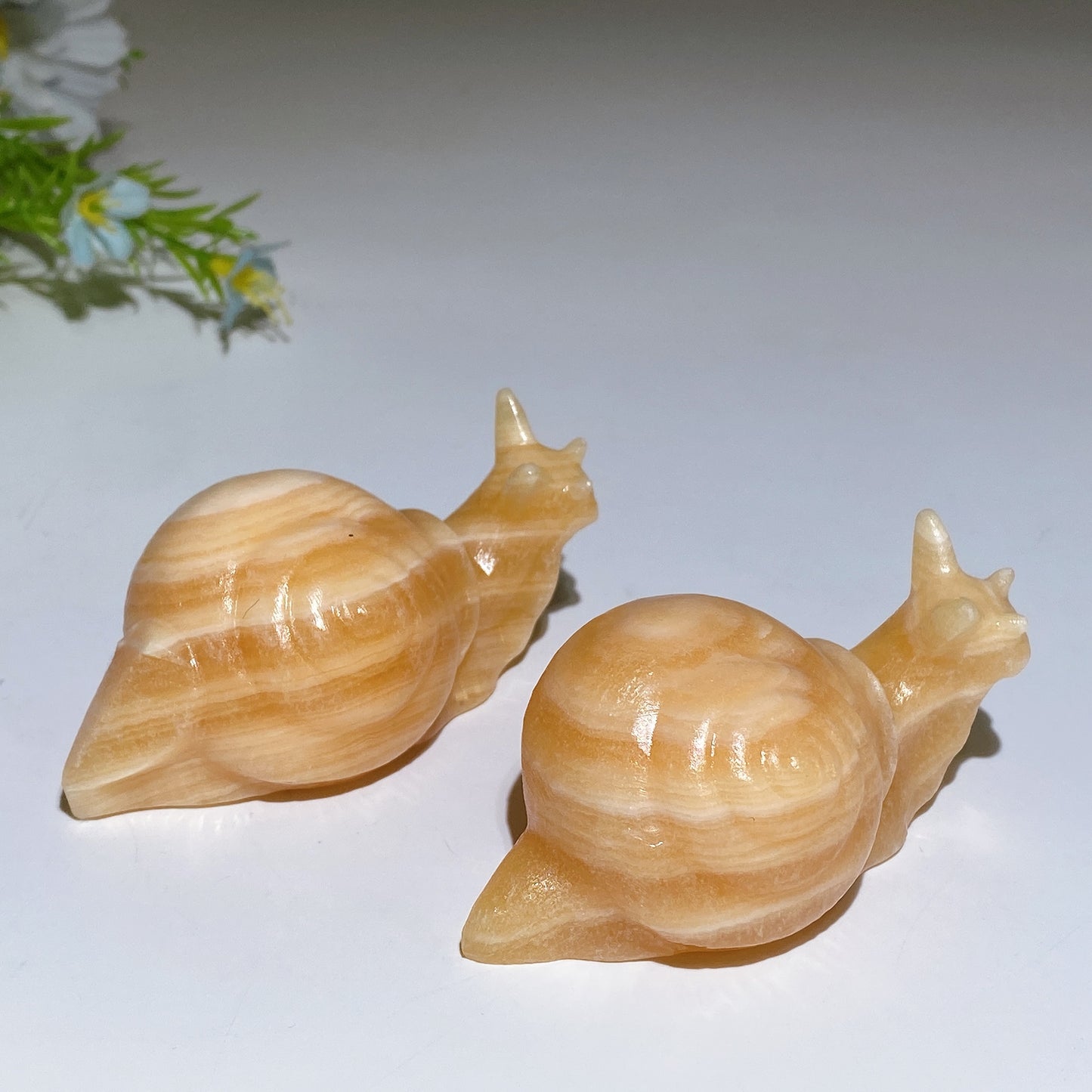 3.0" Crystal Snail Carving Crystal Healing Bulk Wholesale