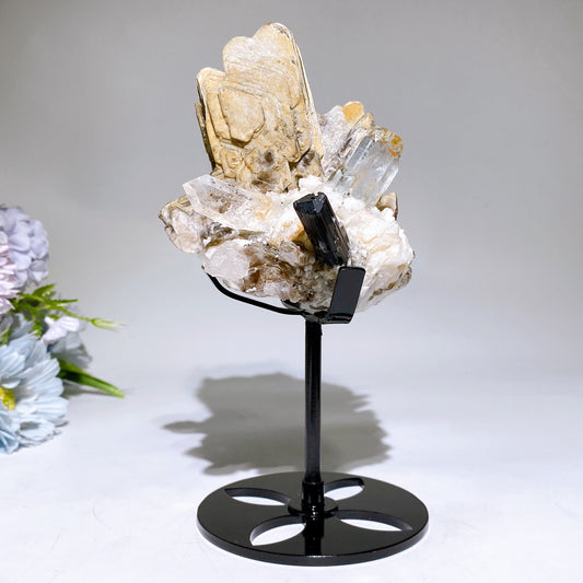 Unique Golden Mica Grow with Aquamarine Black Tourmaline & Quartz Specimen with Stand Crystal Healing Bulk Wholesale