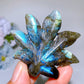 2.3" Labradorite Maple Leaf Carving Crystal Healing Bulk Wholesale