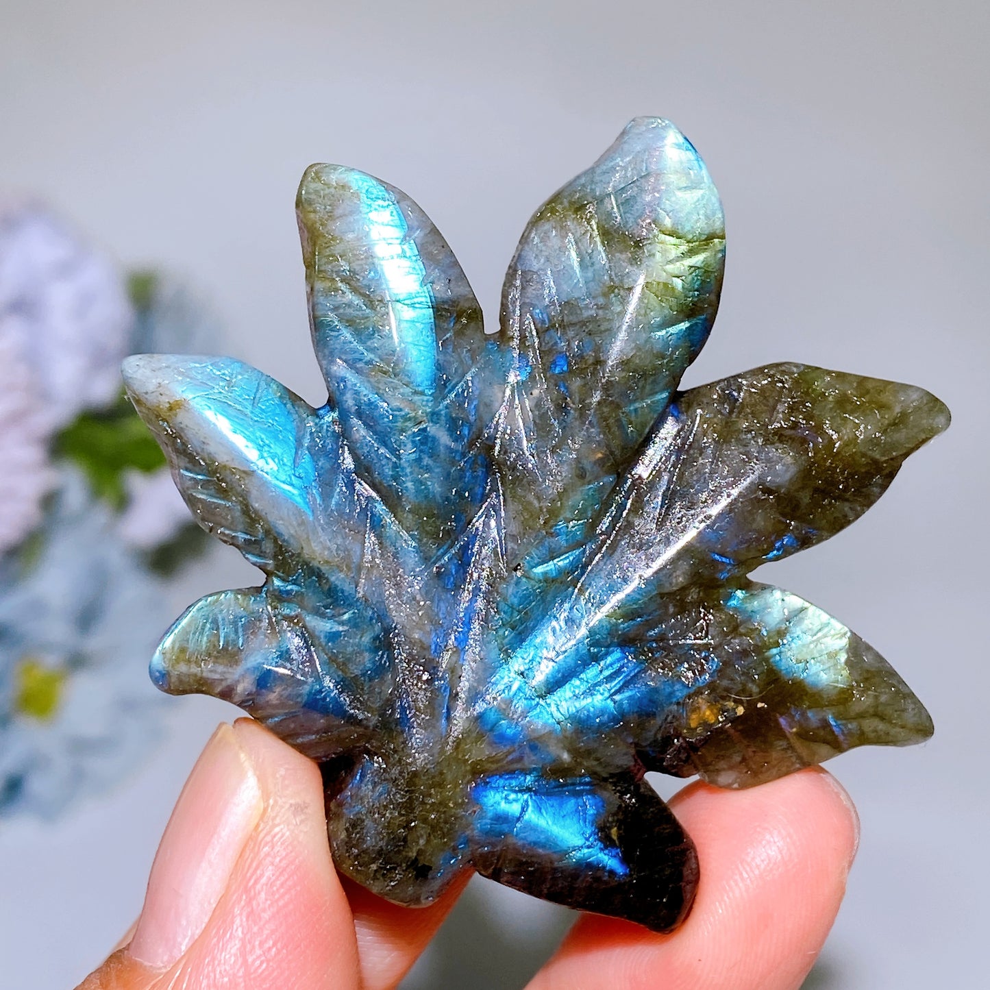2.3" Labradorite Maple Leaf Carving Crystal Healing Bulk Wholesale