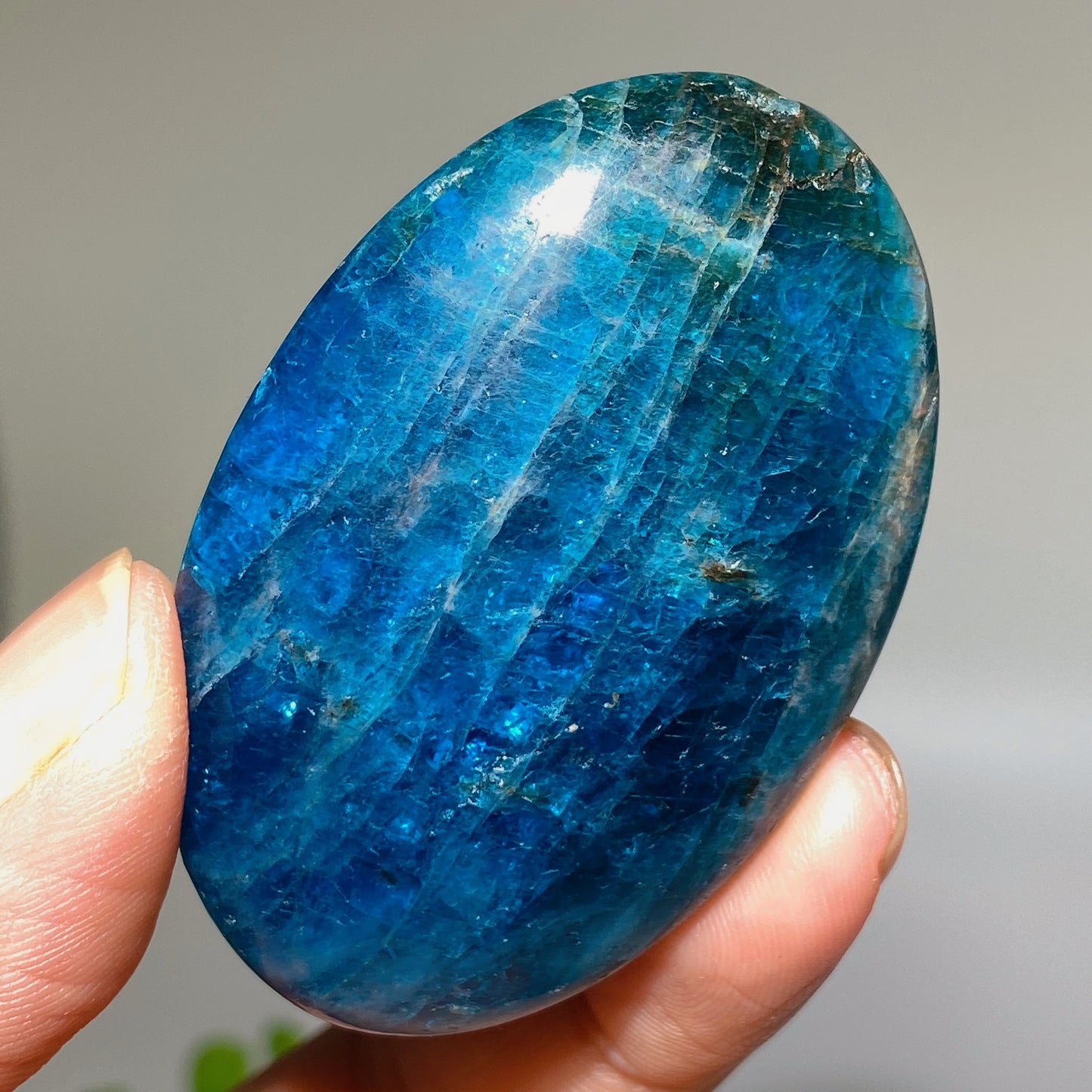 2.1" Blue Apatite Palm Bulk Wholesale