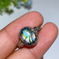 Abalone Shell Ring Crystal Healing Bulk Wholesale