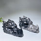 4.0"-4.6" Fossil Jasper Dragon Head Carving Crystal Healing Bulk Wholesale