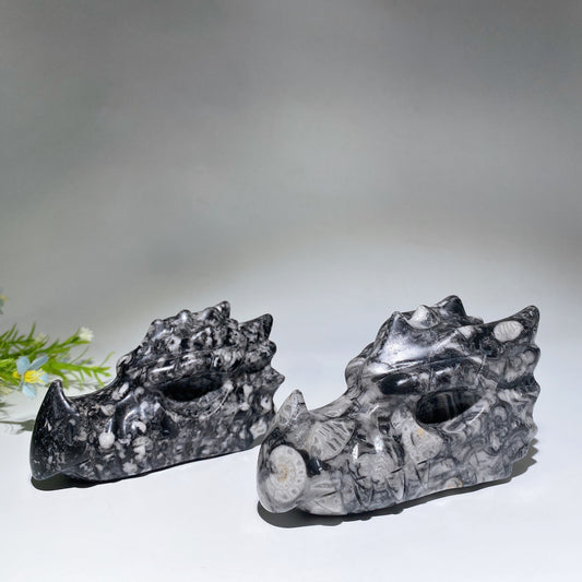4.0"-4.6" Fossil Jasper Dragon Head Carving Crystal Healing Bulk Wholesale