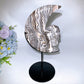Large Chocolate Calcite Moon with Skull Carving Crystal Healing Bulk Wholesale