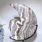 Large Chocolate Calcite Moon with Skull Carving Crystal Healing Bulk Wholesale