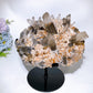 Large Unique Smoky Quartz Grow with Calcite Cluster Specimen with Stand Crystal Healing Bulk Wholesale