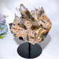 Large Unique Smoky Quartz Grow with Calcite Cluster Specimen with Stand Crystal Healing Bulk Wholesale