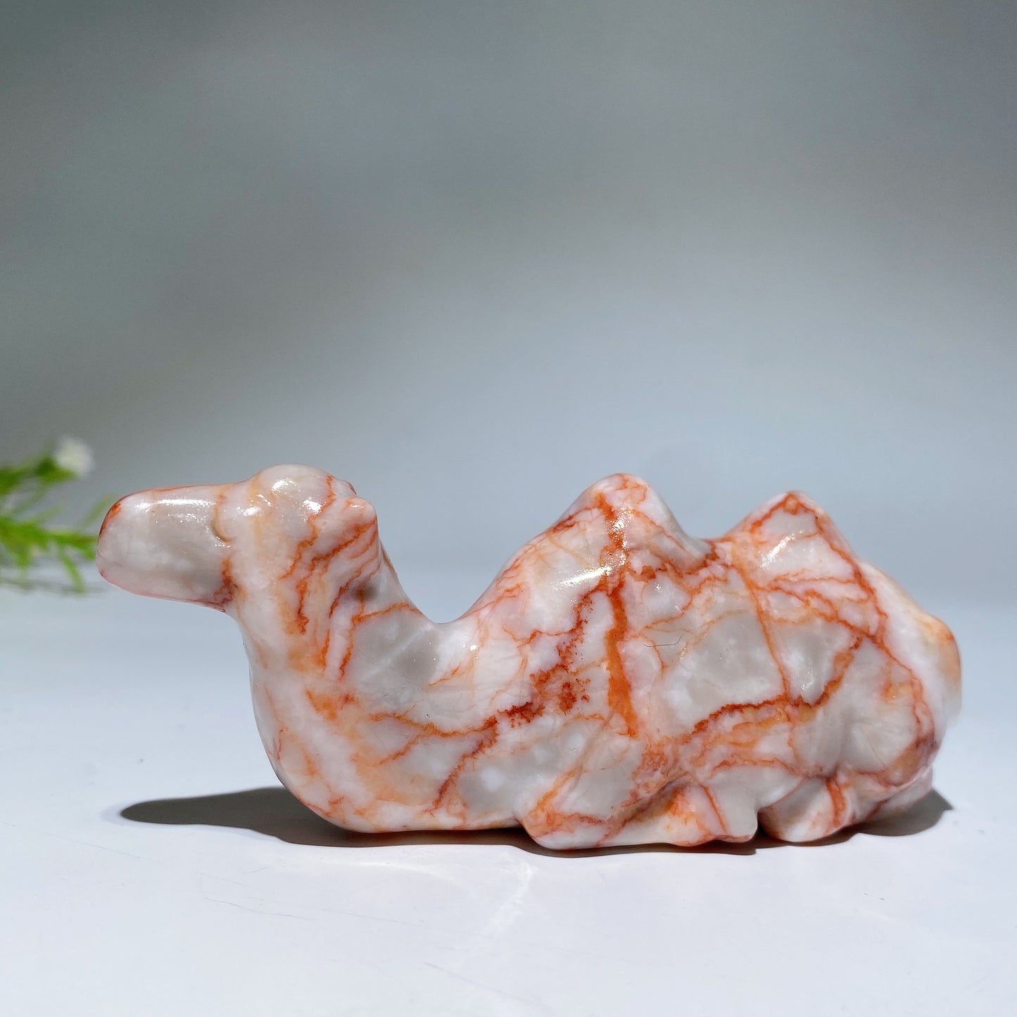 3.9" Crystal Camel Carving Crystal Healing Bulk Wholesale