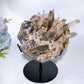 Large Unique Smoky Quartz Grow with Calcite Cluster Specimen with Stand Crystal Healing Bulk Wholesale