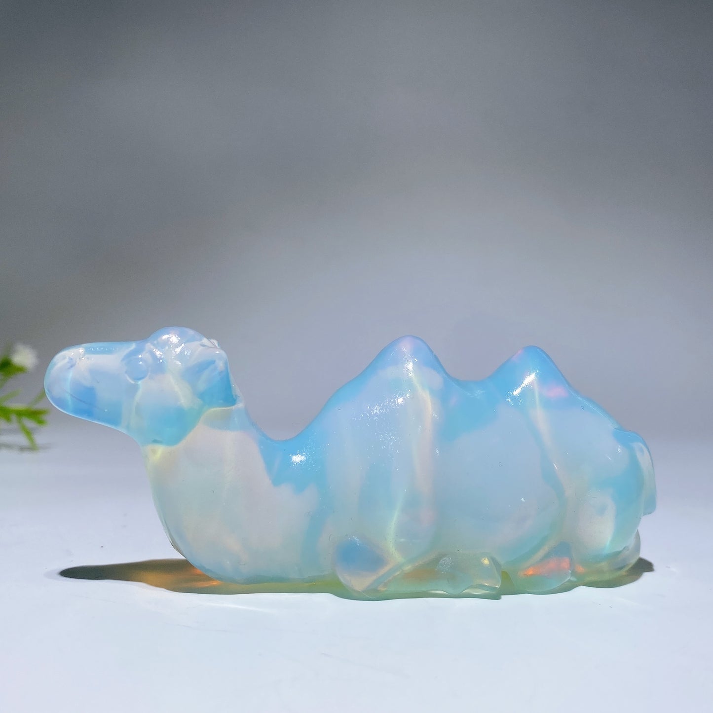 3.9" Crystal Camel Carving Crystal Healing Bulk Wholesale