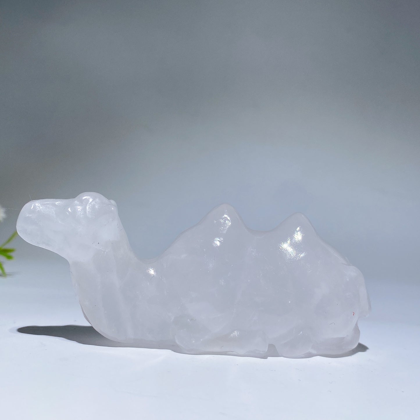 3.9" Crystal Camel Carving Crystal Healing Bulk Wholesale