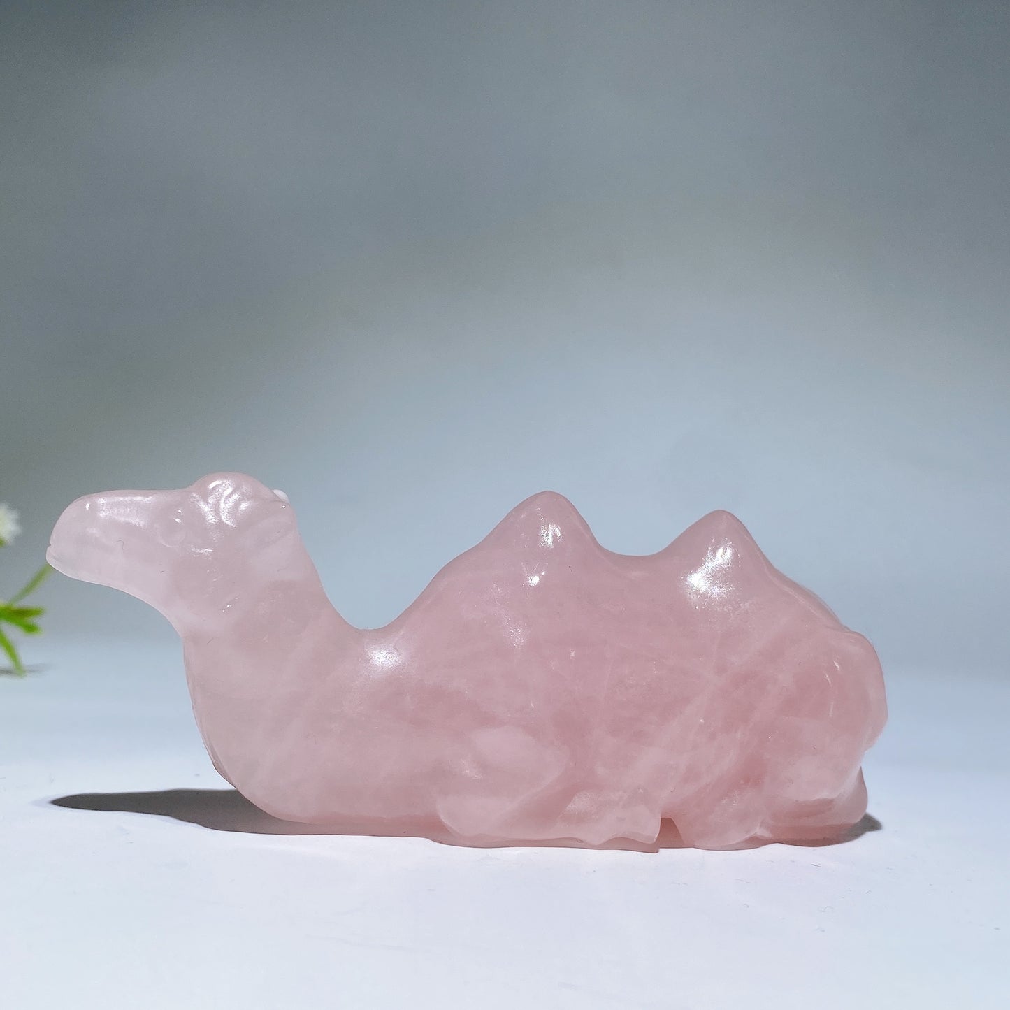 3.9" Crystal Camel Carving Crystal Healing Bulk Wholesale