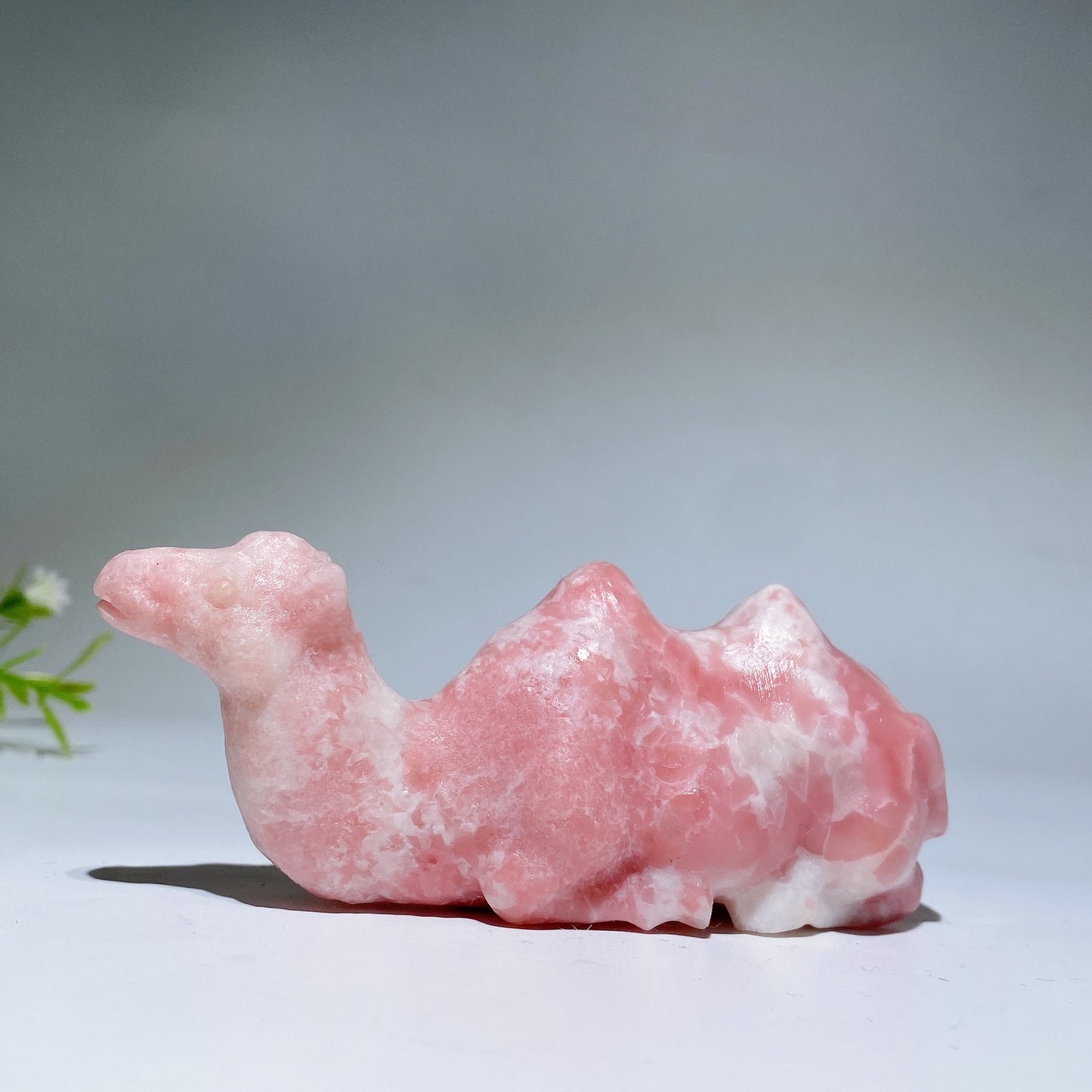 3.9" Crystal Camel Carving Crystal Healing Bulk Wholesale