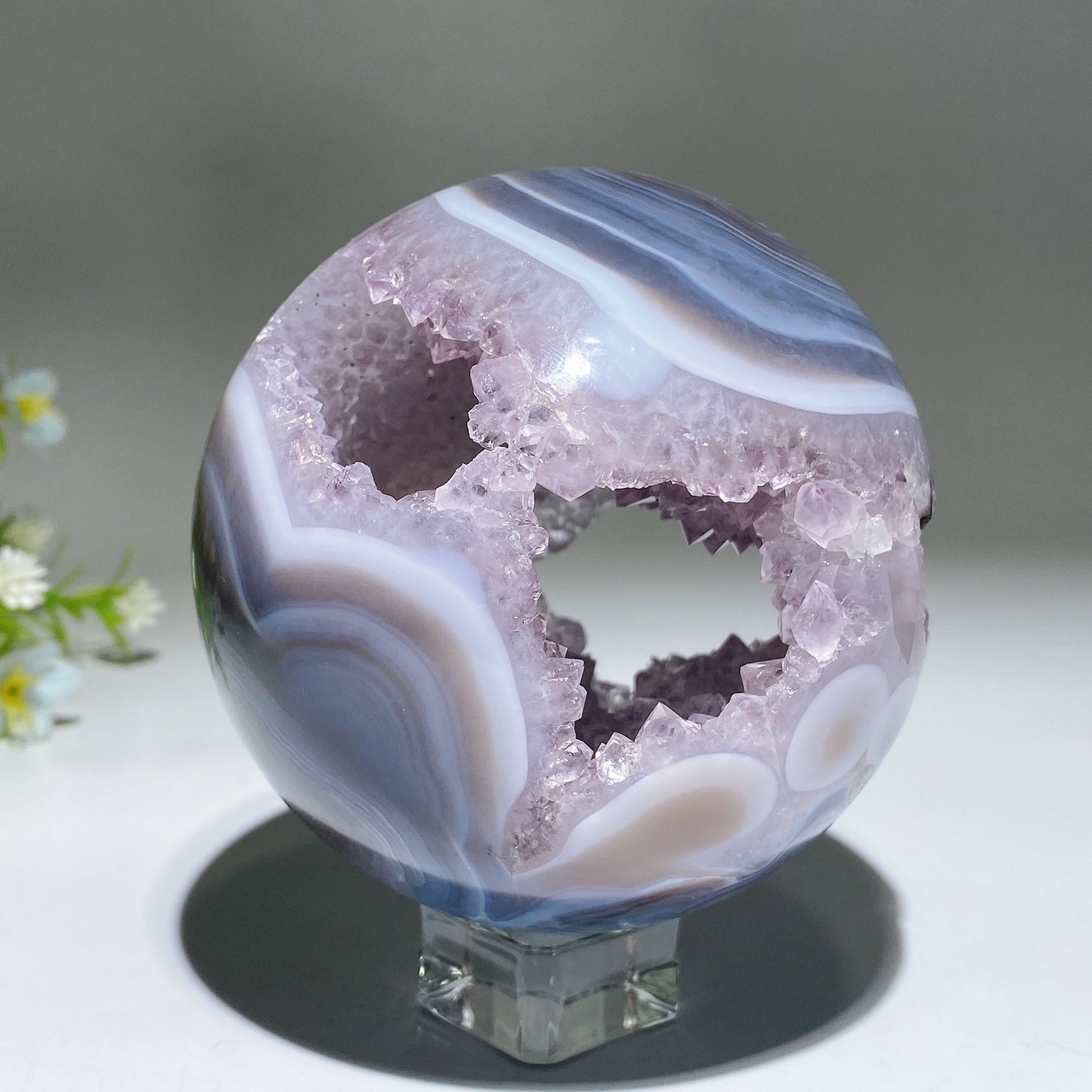 Unique Agate Grow with Amethyst Geode Crystal Healing Bulk Wholesale