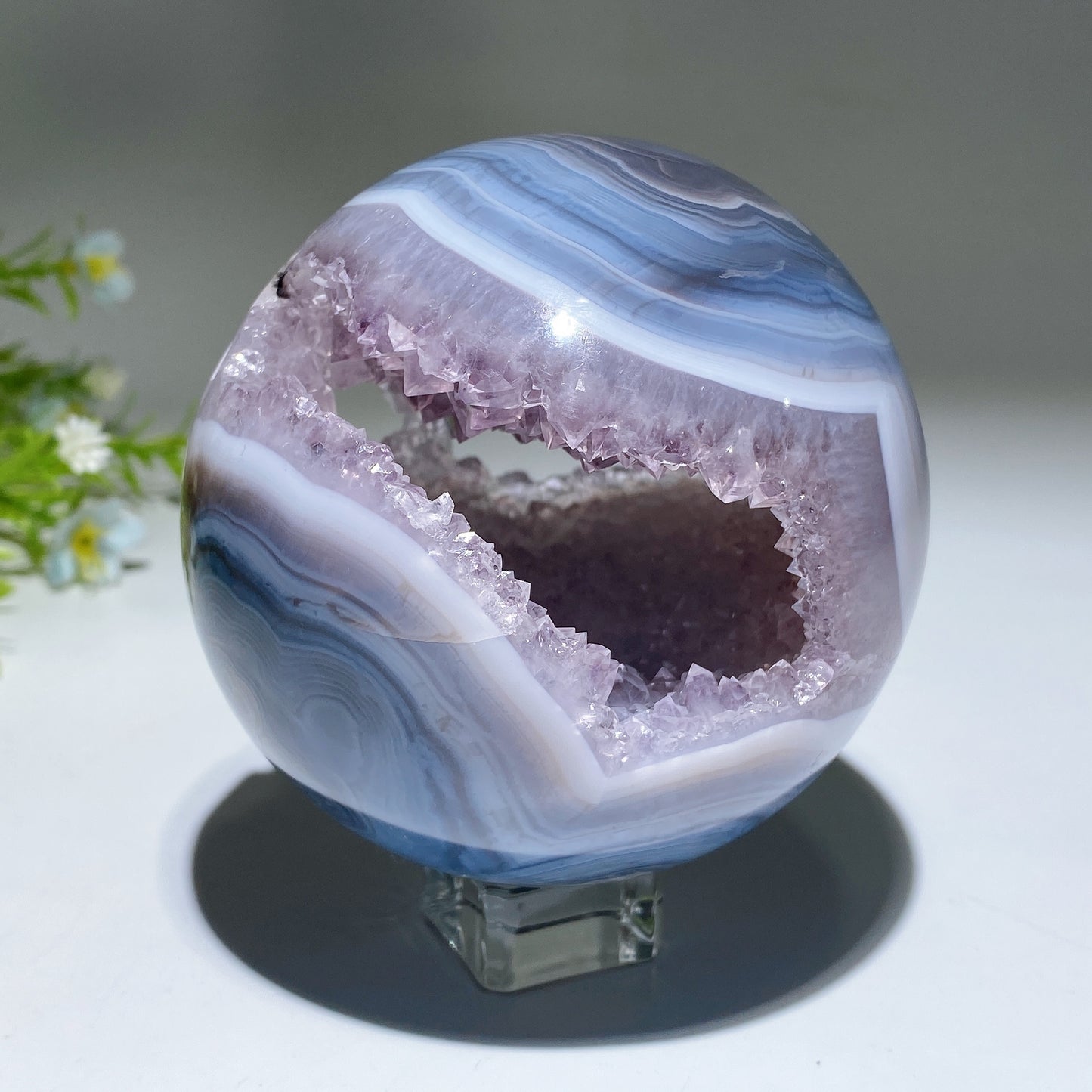 Unique Agate Grow with Amethyst Geode Crystal Healing Bulk Wholesale