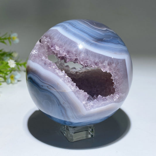 Unique Agate Grow with Amethyst Geode Crystal Healing Bulk Wholesale