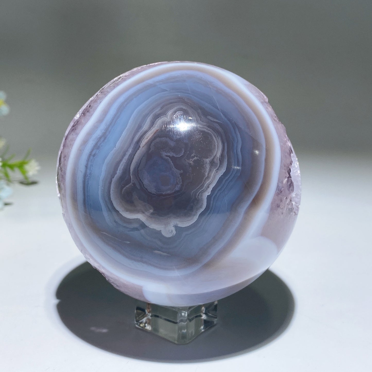Unique Agate Grow with Amethyst Geode Crystal Healing Bulk Wholesale