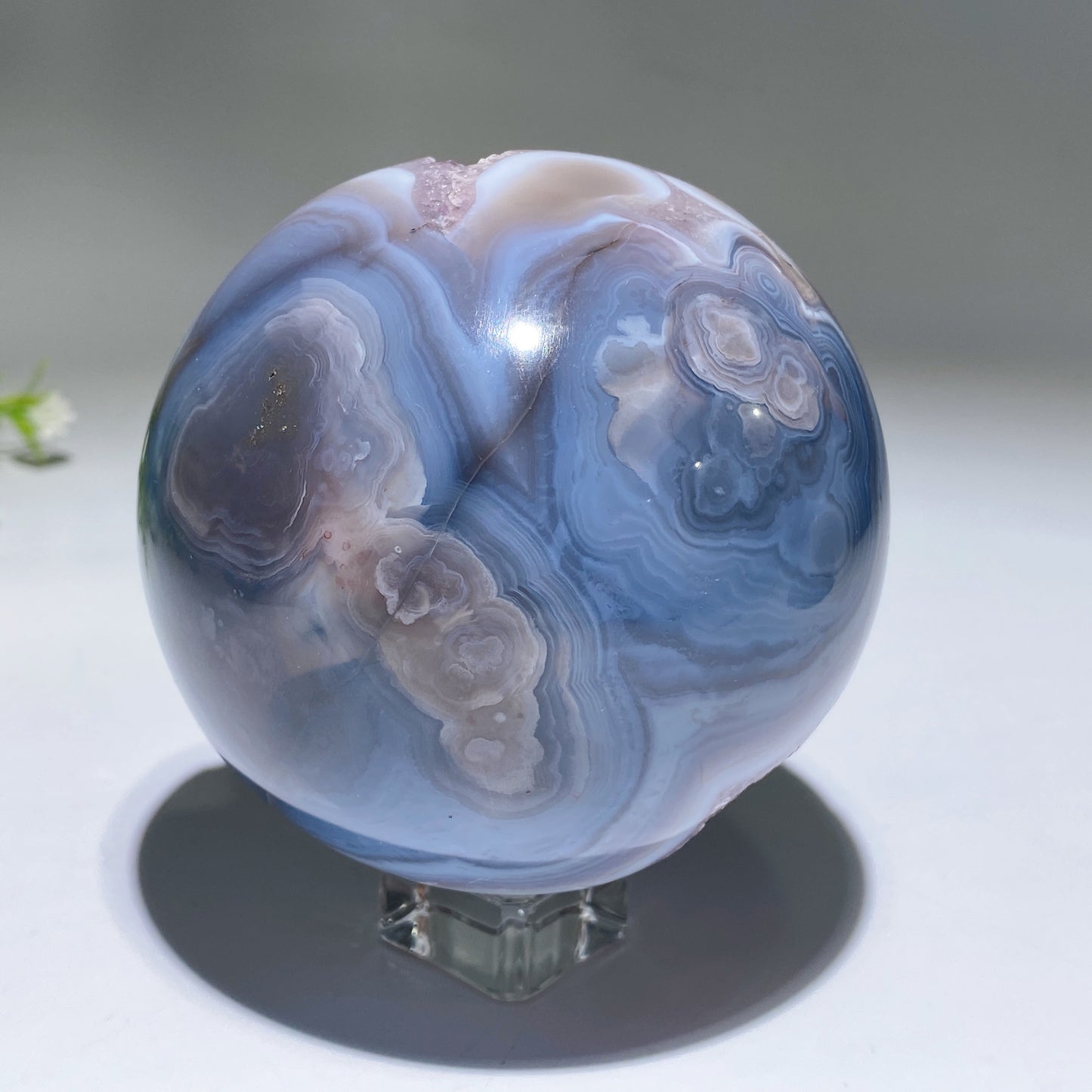 Unique Agate Grow with Amethyst Geode Crystal Healing Bulk Wholesale