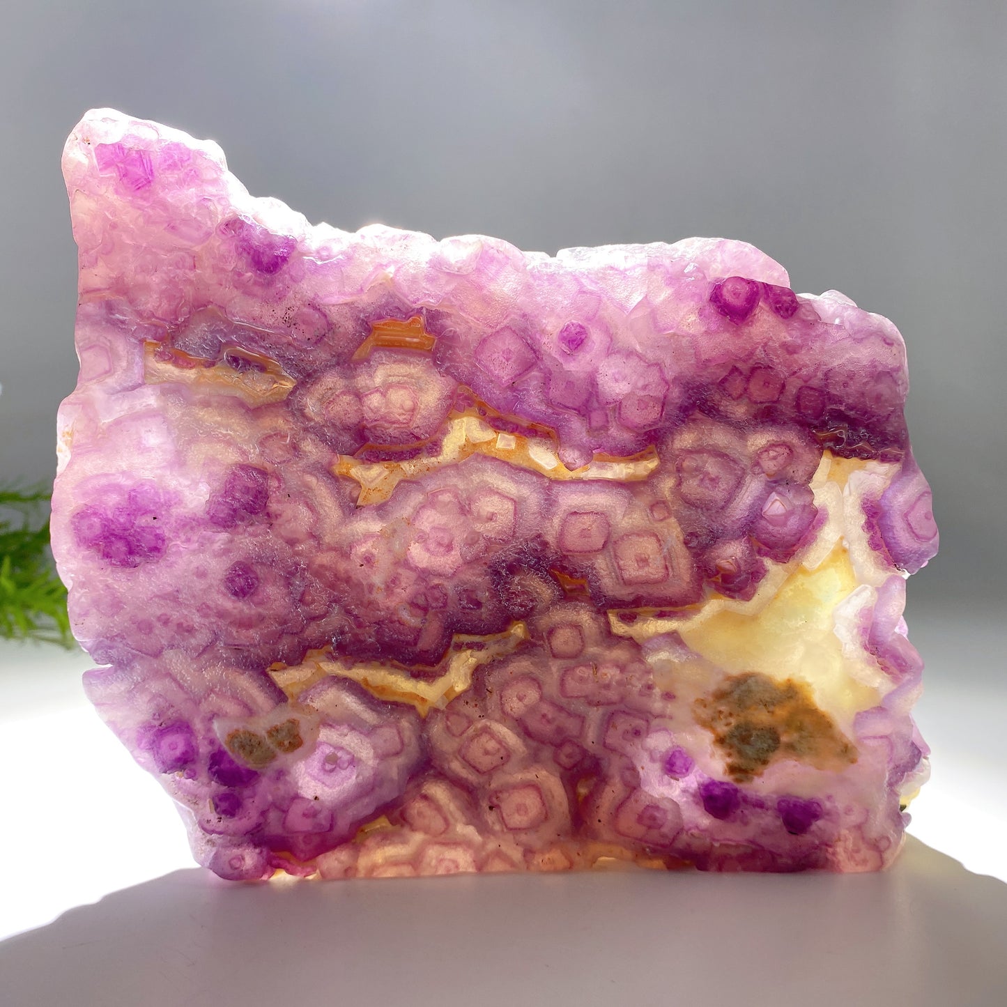 18cm Unique Fluorite Nine-tails Fox Carving Crystal Healing Bulk Wholesale