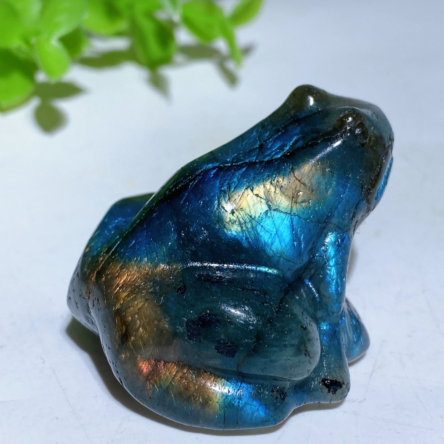 1.8" Labradorite Frog Carving Crystal Healing Bulk Wholesale