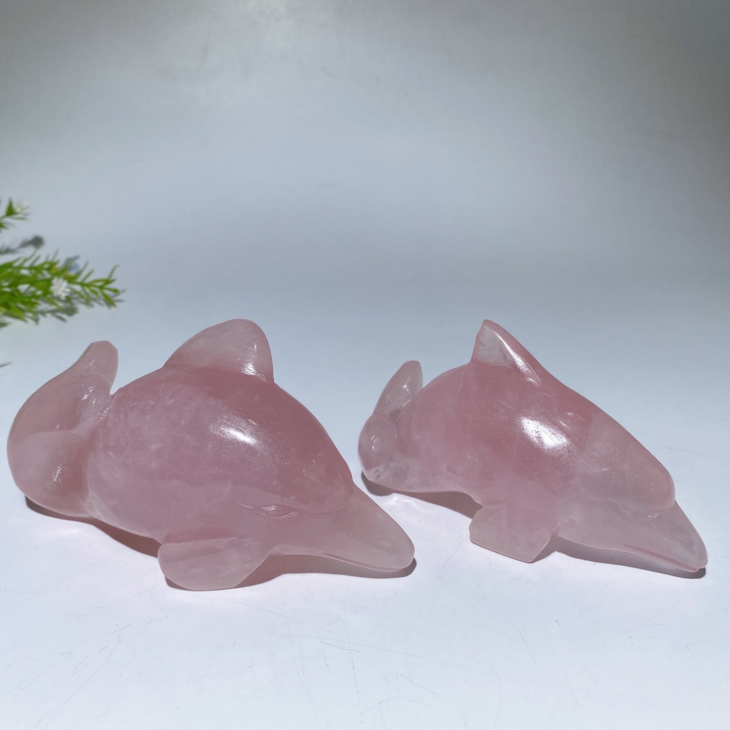 Unique Rose Quartz Carving Crystal Healing Bulk Wholesale