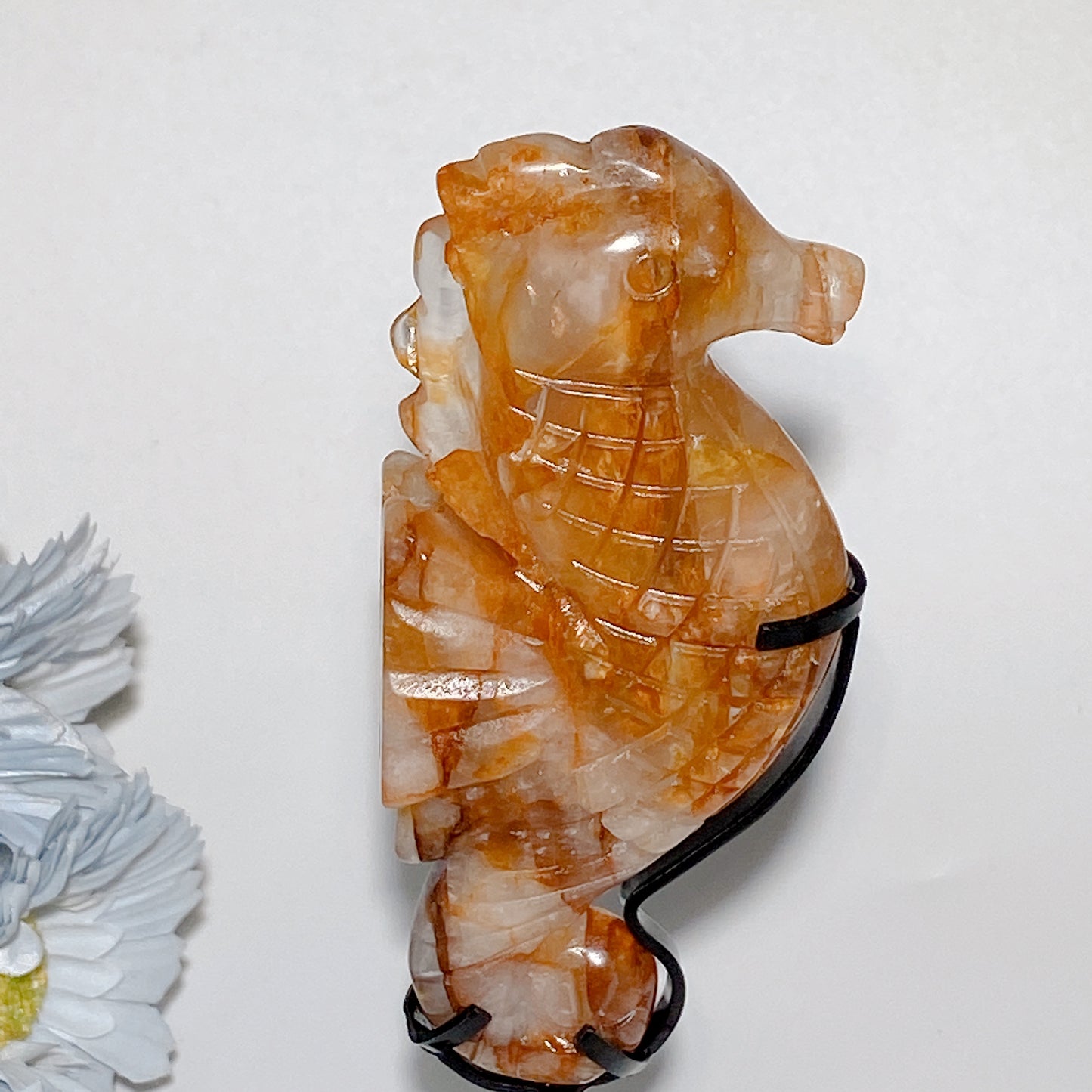 4.5" Mixed Crystal Sea Horse Hippocampus Carvings with Stand Bulk Wholesale