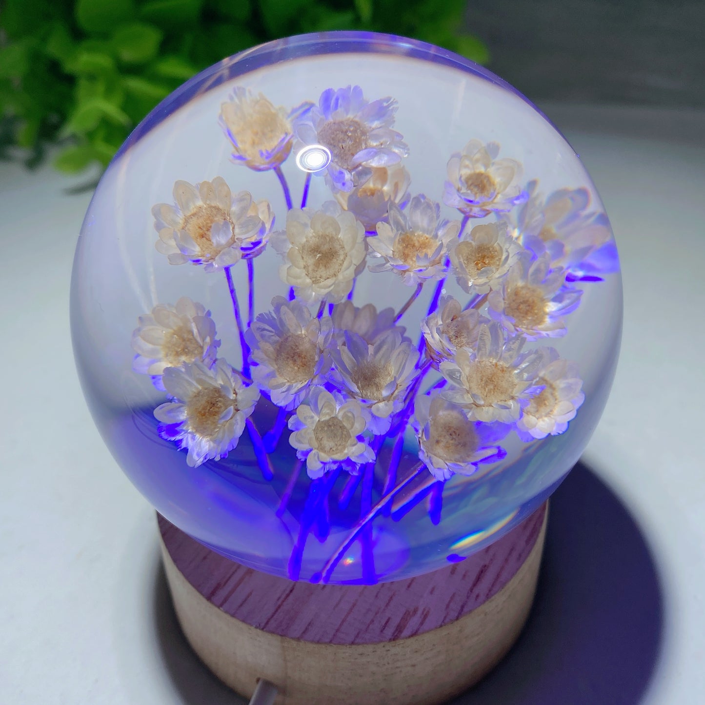 Resin Flower Sphere with Lamp Stand Bulk Wholesale
