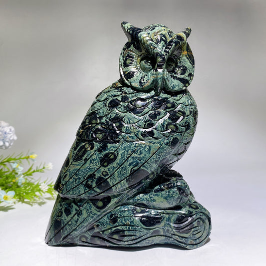 18cm Large Unique Kambaba Owl Carving Crystal Healing Bulk Wholesale