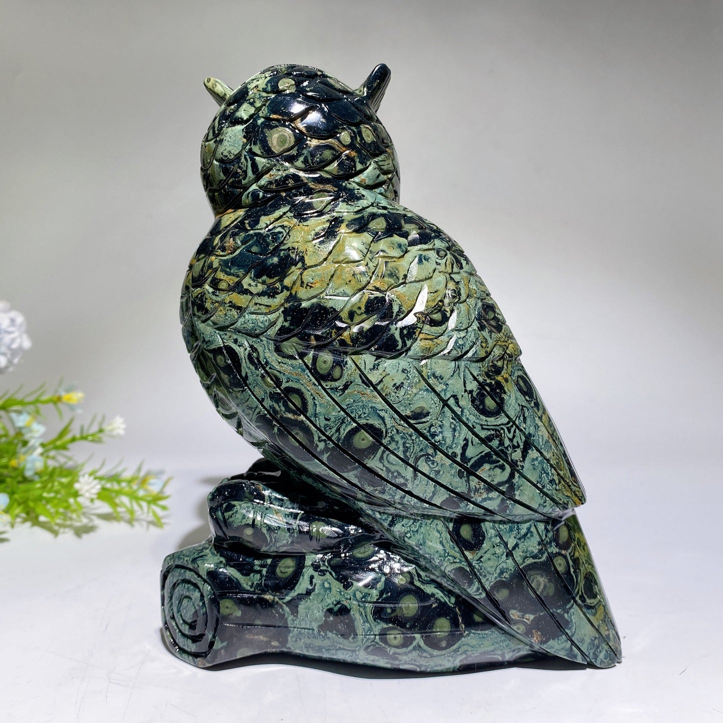 18cm Large Unique Kambaba Owl Carving Crystal Healing Bulk Wholesale