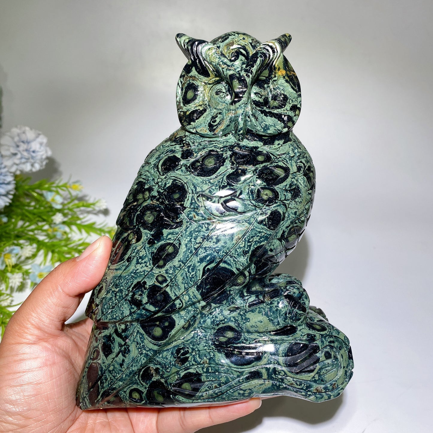 18cm Large Unique Kambaba Owl Carving Crystal Healing Bulk Wholesale