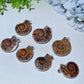 1.3"-1.6" Ammonite Pendant Bulk Wholesale