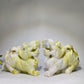 22.5cm Serpentine Kylin Carving Pair Crystal Healing Bulk Wholesale