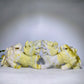 22.5cm Serpentine Kylin Carving Pair Crystal Healing Bulk Wholesale