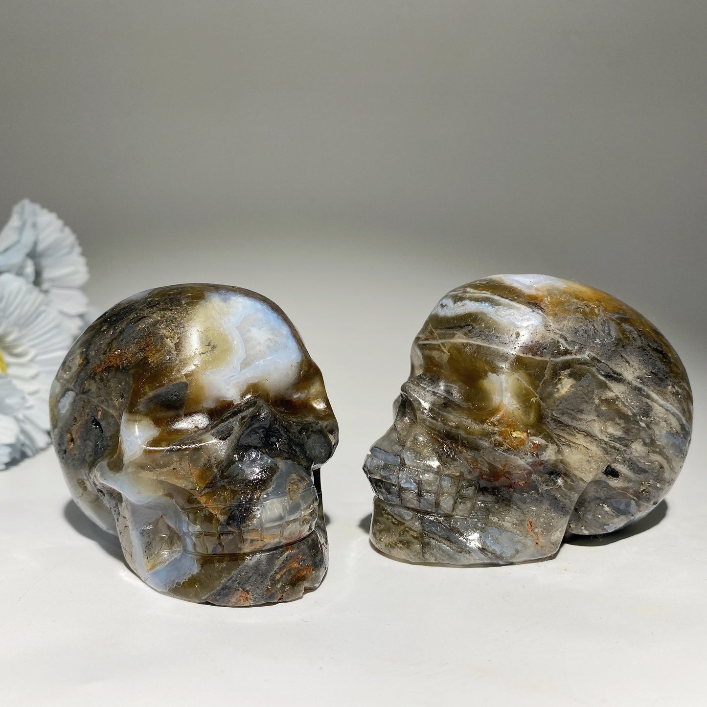 3.3" Moss Agate Grow with Fluorite Skull Carvings Bulk Wholesale