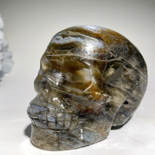 3.3" Moss Agate Grow with Fluorite Skull Carvings Bulk Wholesale